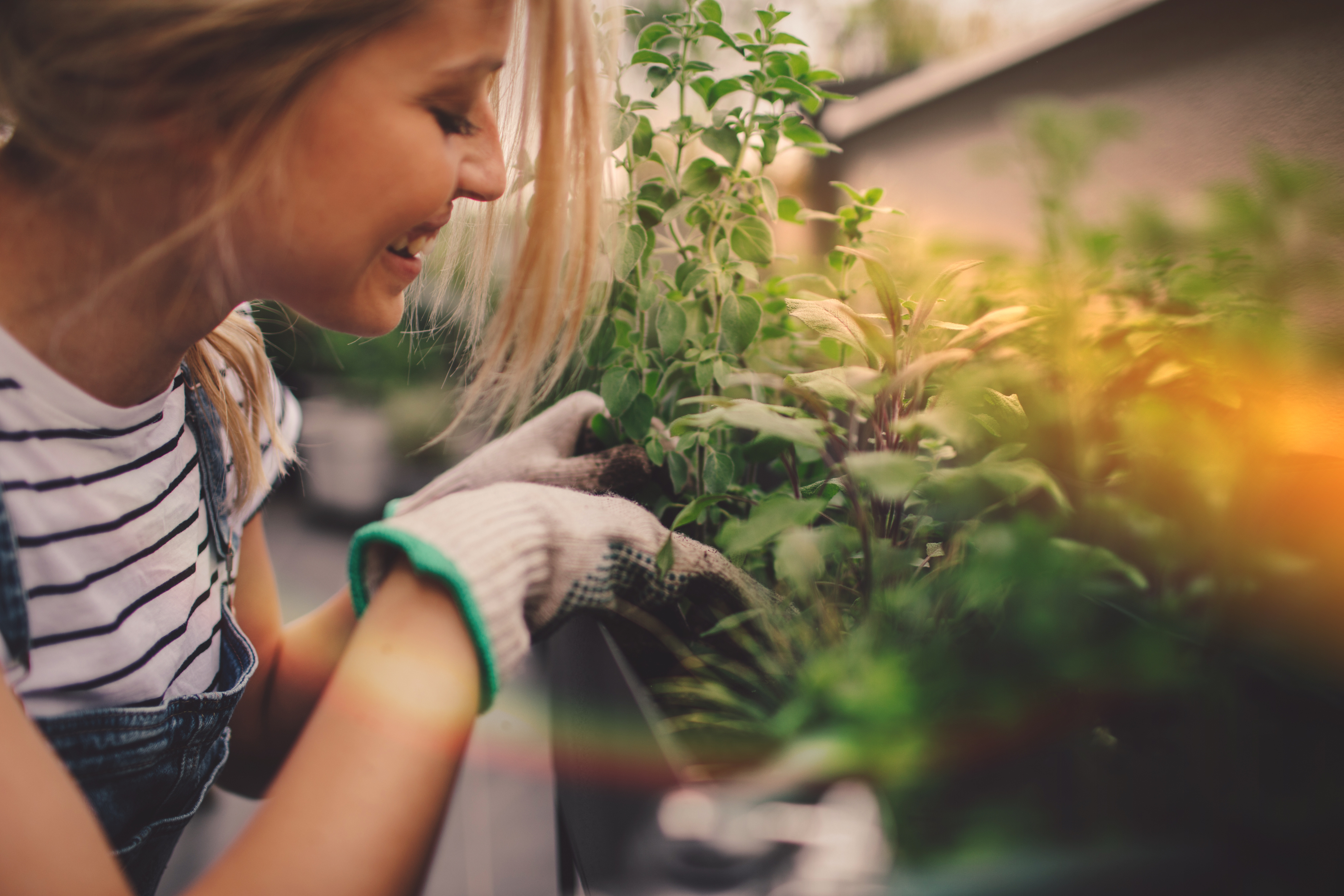 Woman with gloves on working on her garden