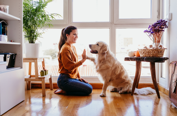 A woman and dog playing